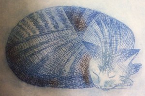 small cat etching small cat etching